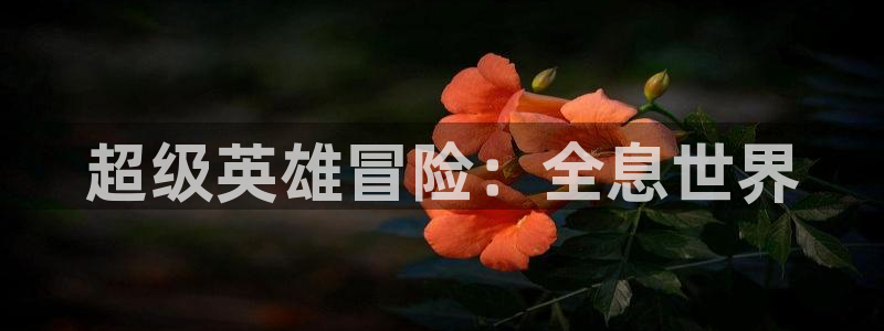 超级英雄冒险：全息世界