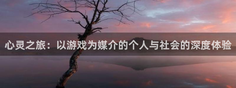 南宫官网注册：心灵之旅：以游戏为媒介的个人与社会的深度体验