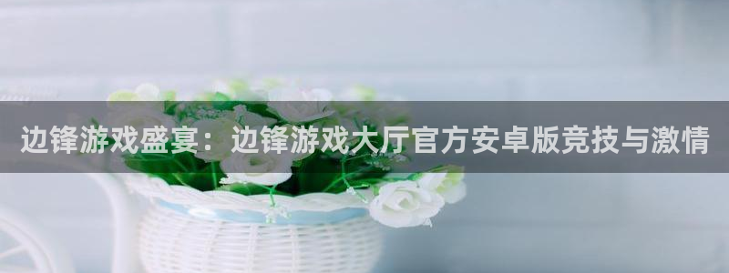 南宫娱乐集团：边锋游戏盛宴：边锋游戏大厅官方安卓版竞技与激情