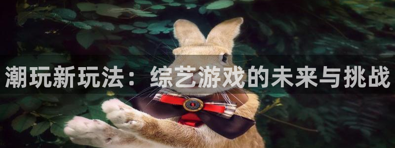 南宫28加拿大3.2：潮玩新玩法：综艺游戏的未来与挑战