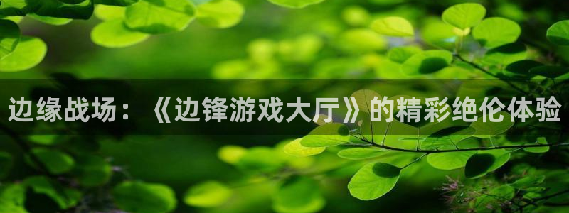 南宫ngapp下载：边缘战场：《边锋游戏大厅》的精彩绝伦体验