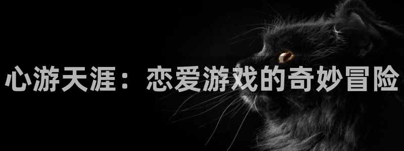 ng南宫国际网站多少