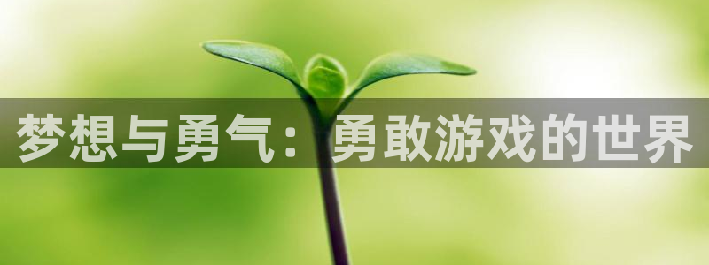 南宫哪里的：梦想与勇气：勇敢游戏的世界
