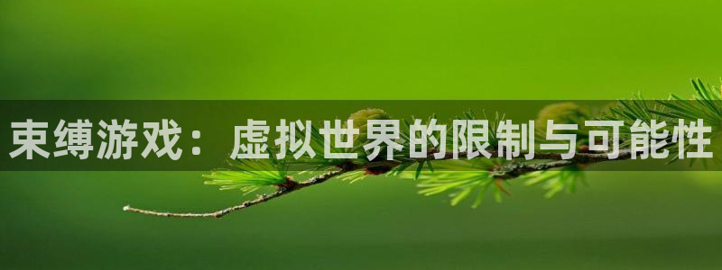 南宫是什么意思：束缚游戏：虚拟世界的限制与可能性