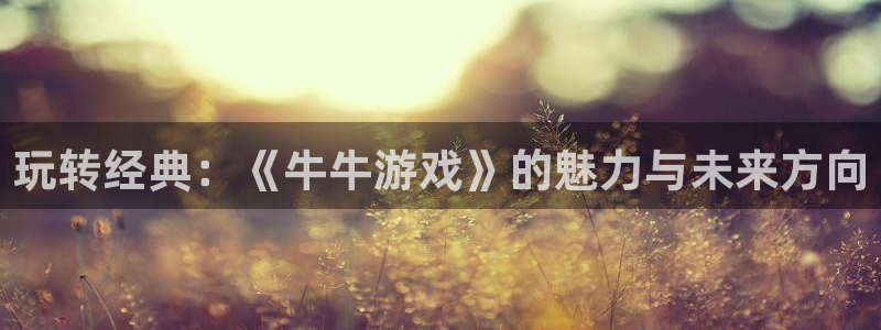 南宫平台退款流程详解：玩转经典：《牛牛游戏》的魅力与未来方向